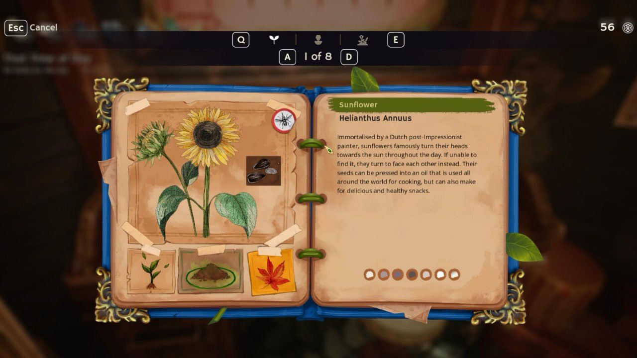 PC/#花园生涯：模拟佛系生活  #Garden Life A Cozy Simulator v20250211 官方中文版-第2张图片-萌站