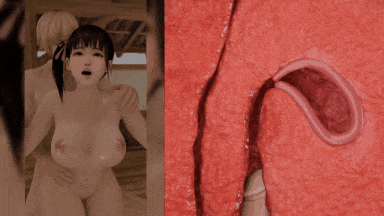 【3D动画】ToonE大佬作品 ：DOA 小春 超清纯双马尾少女温泉旅馆内的超激性爱 无法拒绝的巨根快感 不会停下的子宫快感-第2张图片-萌站