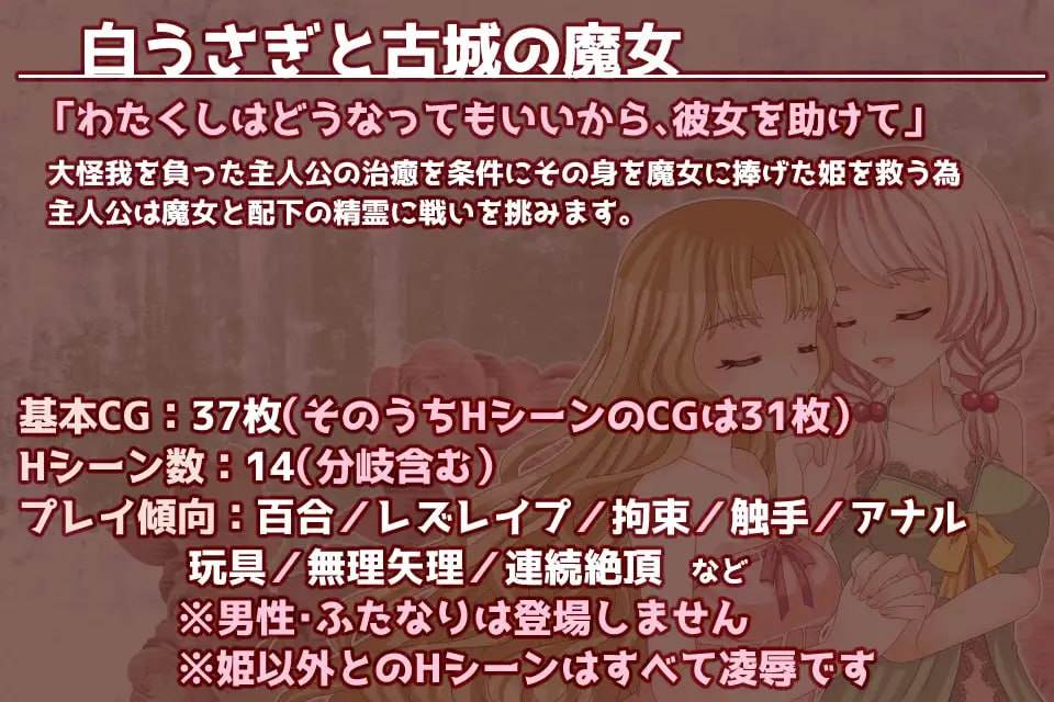 白うさぎと古城の魔女 日文生肉版