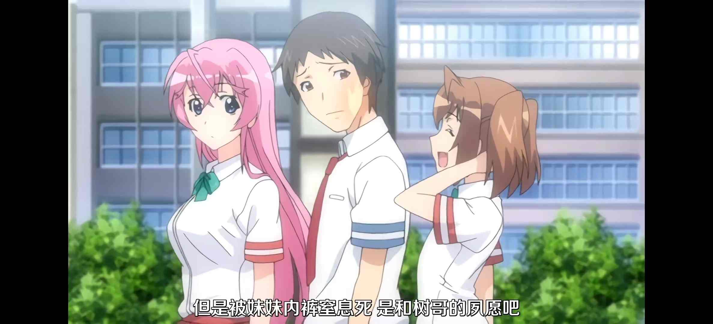 纯洁的轮舞曲