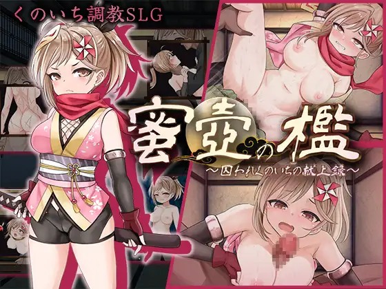 [日式SLG/新作] 蜜壶之笼～被囚禁的女忍者的献上记录～ 蜜壺の檻～囚われくのいちの献上録～ AI汉化版 [1.50G/度盘]