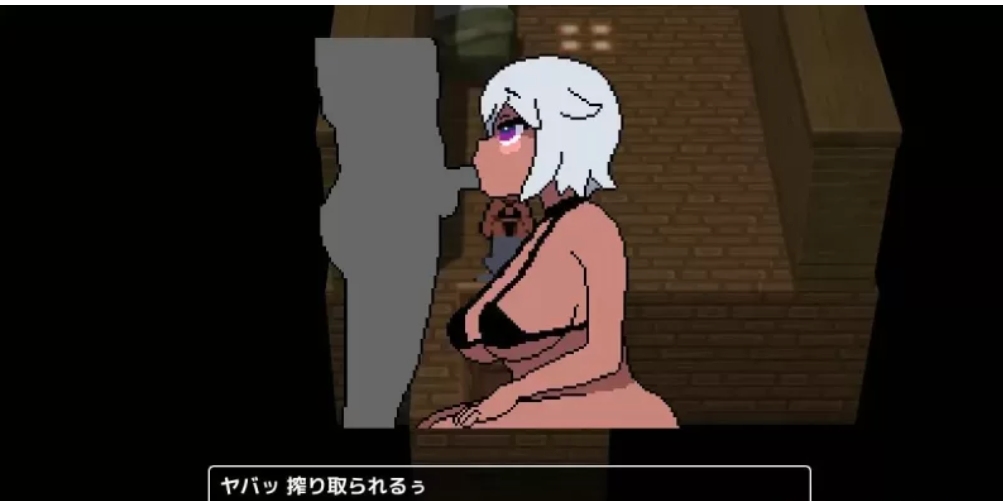 [RPG角色扮演]  [PC/佳作/动态/像素/后宫/汉化]和褐色肌肤的母女怀孕性活-第3张图片-萌站
