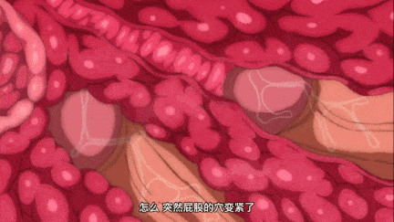 【动画/乳交/后入/中出/爆操/口交】いただきっ! セーエキ ～吸血鬼のフルコース～-第2张图片-萌站