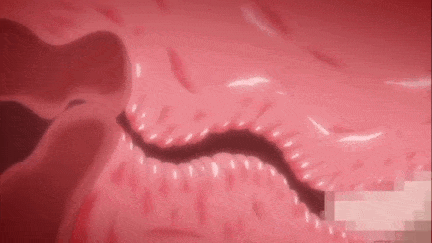 【动画/巨乳/爆操/中出/后入】魔女は結局その客と。。。 THE ANIMATION 第1巻+第2巻 [中文字幕]