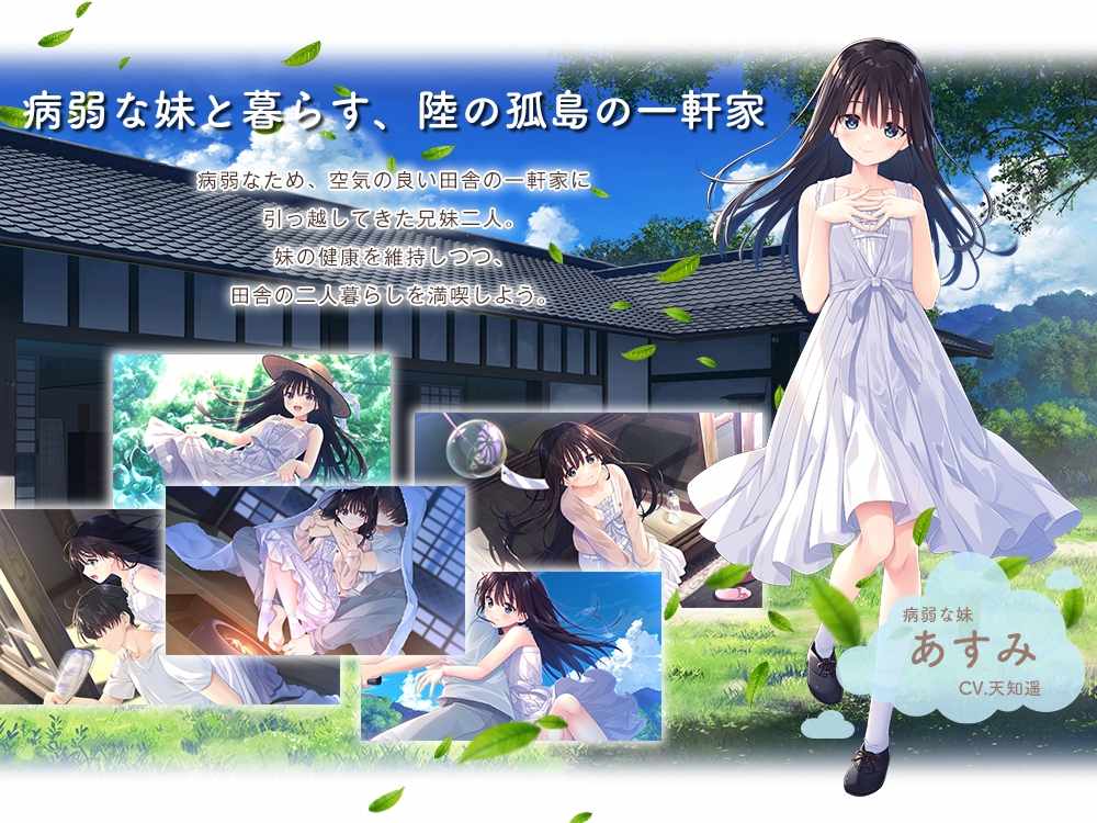 【RPG/PC/官中/妹妹/CV/白虎/骨科】エッチで一途なド田舎兄さまと、古式ゆかしい病弱妹 官中体验版-第4张图片-萌站