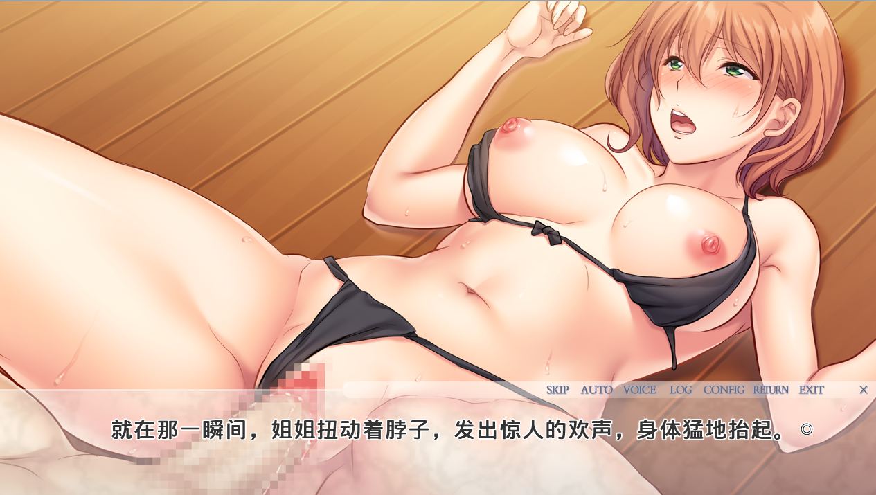 【PC端】堕落的义姐 ~我一直仰慕着的义姐被同班同学调教【ADV】【1.2GB】【简体中文】