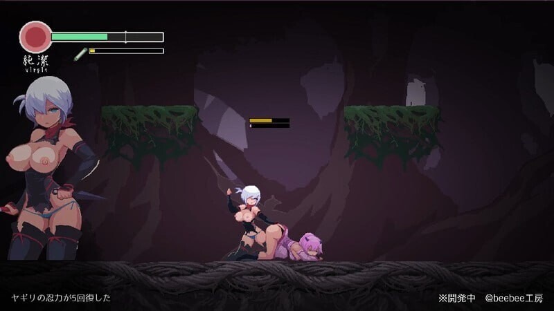 【动作ACT/像素动态/生肉/更新/PC】忍者的冒险 復讐の夜霧 v0.31 日文生肉版【300M/更新】 -第5张图片-萌站 【动作ACT/像素动态/生肉/更新/PC】忍者的冒险 復讐の夜霧 v0.31 日文生肉版【300M/更新】 -第5张图片-萌站