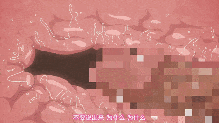 【动画/口交/中出/爆操/束缚/调教/后入】素晴らしき國家の築き方#1 #2