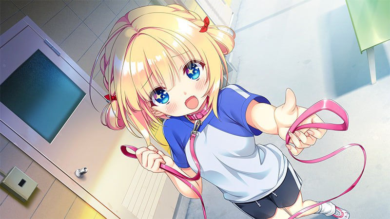 PC/ADV/恋爱、初邂逅  #恋愛、はじめまして 汉化版+全CG存档【2025.2.28 发售】