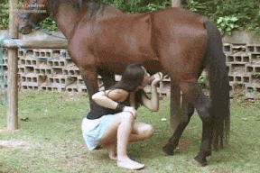 兽交马儿Ingrid And Horse 3  PornSocket-第2张图片-萌站