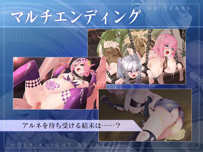 [骑士][异种][调教]聖騎士アルネと魔孕の呪印～Another No Tears～[1.58GB][百度]-第10张图片-萌站