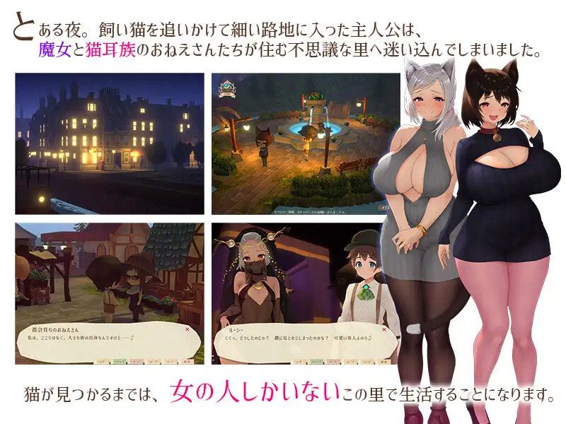 [RPG/官中/动态/存档] 魔女与猫的桃源乡（魔女と猫の隠れ里） V1.01-第2张图片-萌站