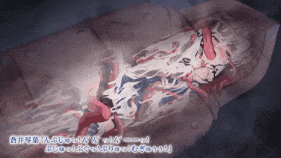 【4K/无水印】【巨乳 触手 捆绑 紧身衣 JK 爆操 爆射 喷潮 中出】新作-ani-mo  -特命少女アイギス・ピンク Anime Edition-1