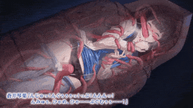 【4K/无水印】【巨乳 触手 捆绑 紧身衣 JK 爆操 爆射 喷潮 中出】新作-ani-mo  -特命少女アイギス・ピンク Anime Edition-1-第5张图片-萌站