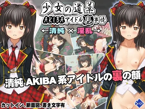 【ADV/PC/AI汉化/偶像/强X/卖春/】 少女的闲逛~秋叶原偶像内幕 少女の道草～AKIBAアイドル裏事情 -闇堕ちアイドル裏営業- ～ 