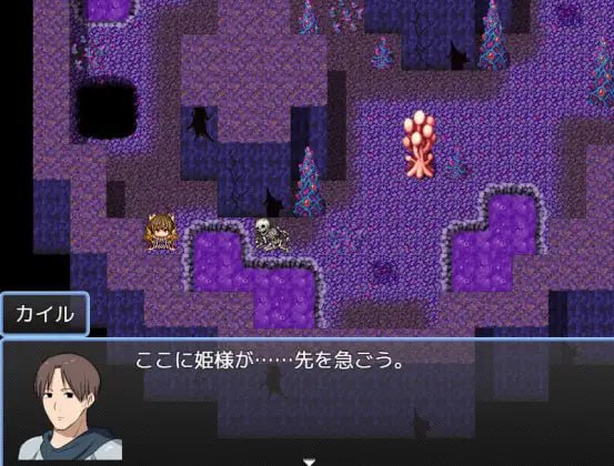 PC/RPG/お姫様救出クエスト 汉化版【2025年03月12日0点 发售】