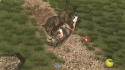 【欧美/ACT/无码/全动态】Jungle Penetration:穿越丛林 人兽斗争 兽交/变态/重口味-第8张图片-萌站 【欧美/ACT/无码/全动态】Jungle Penetration:穿越丛林 人兽斗争 兽交/变态/重口味-第8张图片-萌站