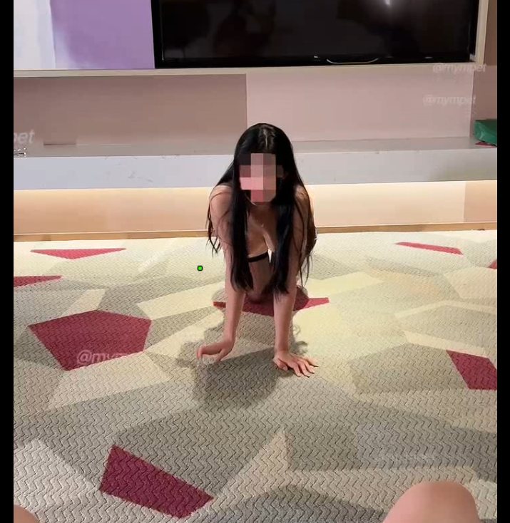 顶级女神mypet最新作-第3张图片-萌站