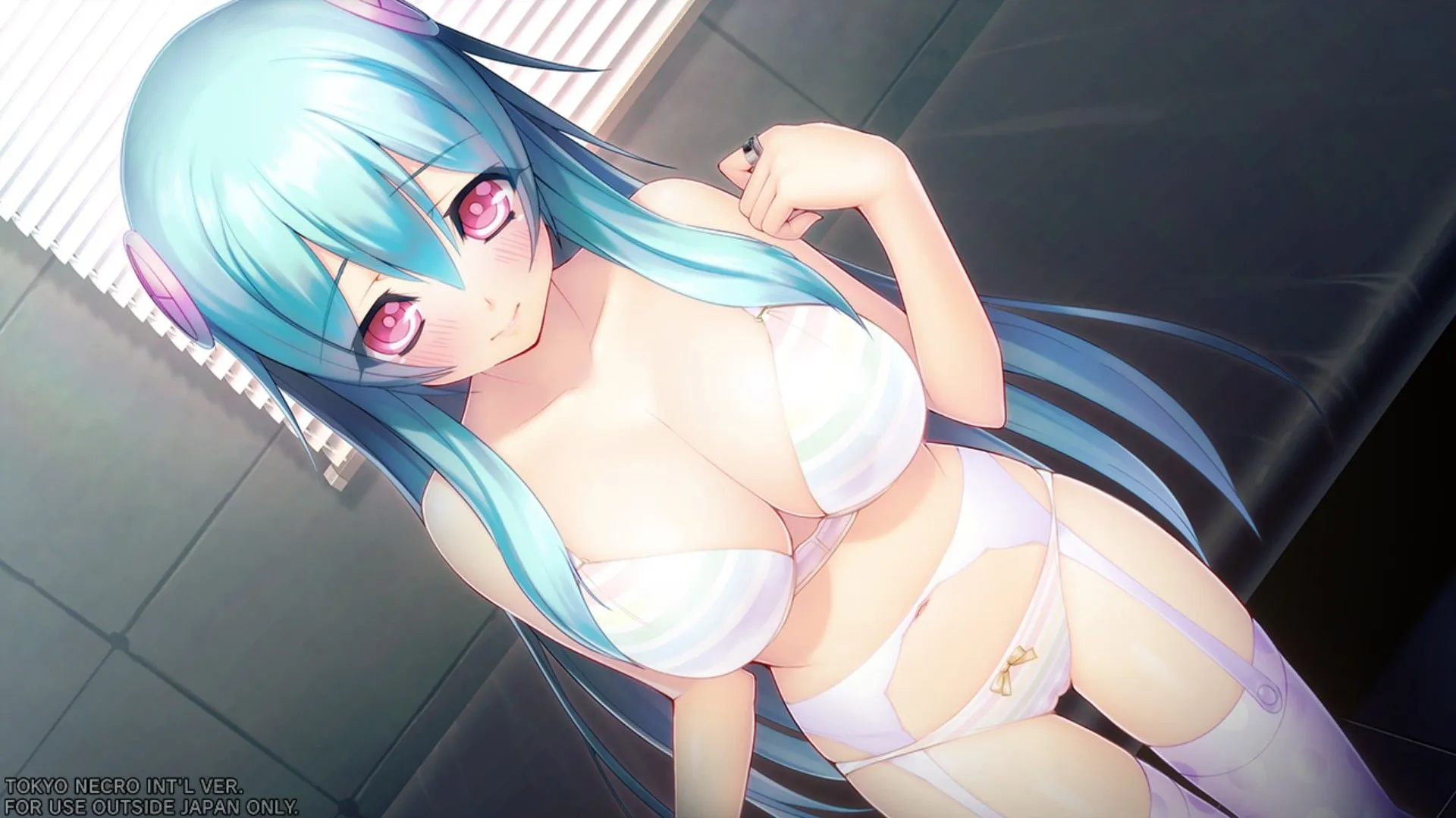 【单机版完整汉化】冻京NECRO 官方DMM离线单机版+完整全剧情汉化版【9G全CV更新】-第2张图片-萌站 【单机版完整汉化】冻京NECRO 官方DMM离线单机版+完整全剧情汉化版【9G全CV更新】-第2张图片-萌站