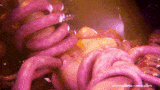 【3D/触手/西瓜肚】[The Nest] 25年2月新作:Samus Tentacles Oviposition-第2张图片-萌站