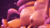 【3D/触手/西瓜肚】[The Nest] 25年2月新作:Samus Tentacles Oviposition-第4张图片-萌站