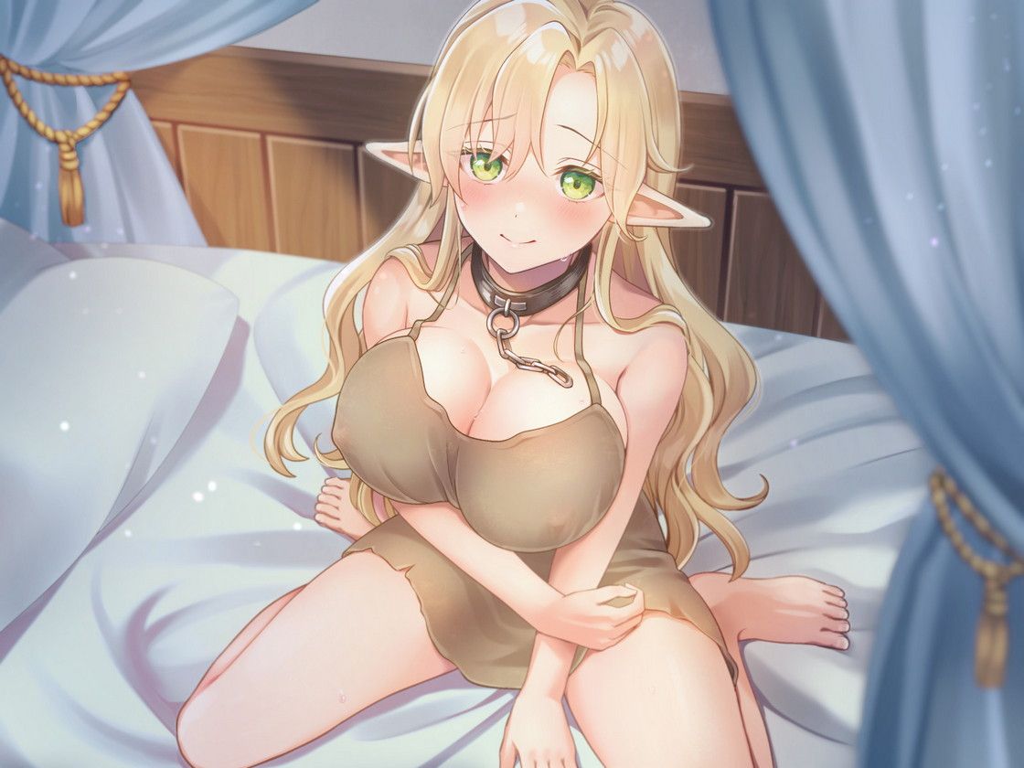 RJ01340074【乙倉ゅい】【全肯定】助けた発情期奴○エルフを溺愛したら…毎晩スキスキあまいちゃご奉仕自堕落セックスライフ 