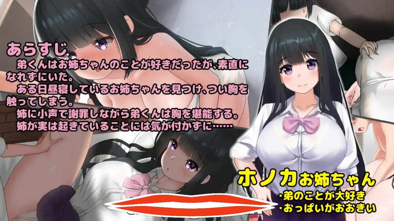  [互动触摸SLG/全动态] 希望被弟袭击的姐姐 LIVE2D V1.04 步兵完全版 电脑 1.3G￼￼
