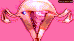 【2B产卵】 （产卵/触手/体内透视/怀孕）115M-第2张图片-萌站