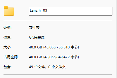 Lanzfh大佬合集03