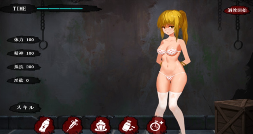 【调教SLG/汉化/动态】[アリバイ+] 监禁小姐姐~Imprisonment汉化版【PC/771M】