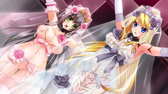 [公主][兽交][触手调教][异种] 異種族の虜姫～せめて人間の相手をさせて!～ パッケージ版 （原版+cut版) [ai汉化][百度] -第7张图片-萌站
