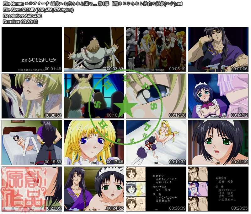 淫夜へと売られた国で-第2张图片-萌站