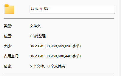 Lanzfh大佬合集05