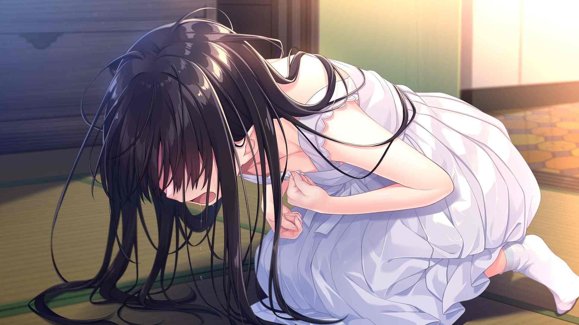 PC 痴情哥哥与病弱妹妹的乡间生活 V1.0  【ADV/PC/汉化/全CV/骑兵】-第3张图片-萌站