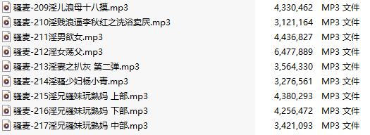 【粉丝福利/白嫖/激情骚麦/9部合一】【MP3版】【中文】【209-217】