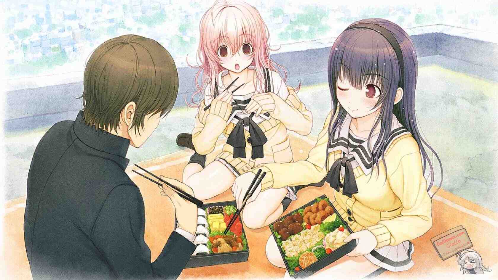 【ADV/官中/PC/安卓】君与彼女与彼女之恋【3.16G】【序号686】-第2张图片-萌站 【ADV/官中/PC/安卓】君与彼女与彼女之恋【3.16G】【序号686】-第2张图片-萌站