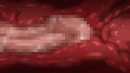 【动画/中出/后入/爆操/颜射】【里幡合集】好色精灵探访记 スケベエルフ探訪記 1+2 中文字幕合集 -第7张图片-萌站
