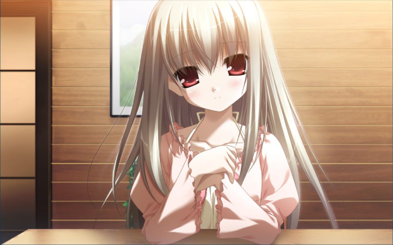 #H220    [汉化硬盘版]eden PLUS＋MOSAIC-第5张图片-萌站