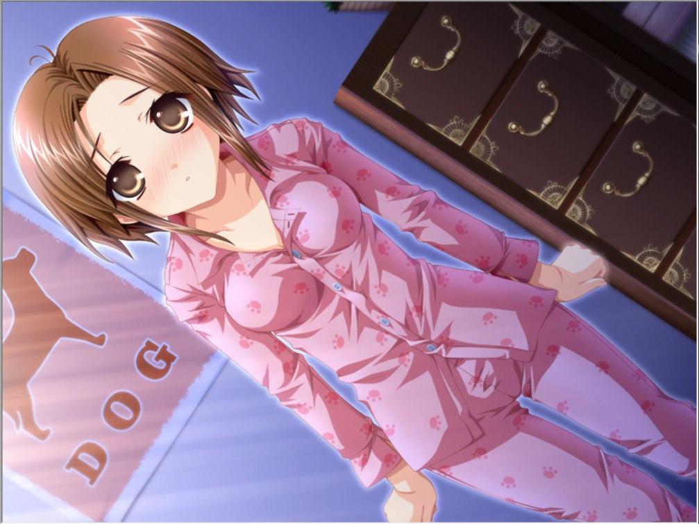  [汉化硬盘版]不禁凝望她的侧脸～A Profile 完全版～-第2张图片-萌站