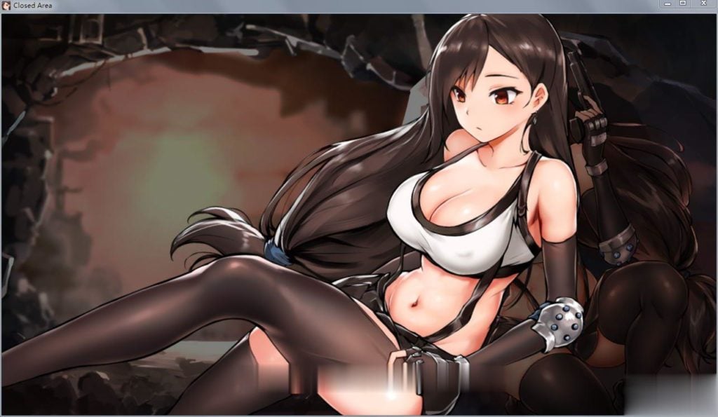 [ACT全动态] 生肉封闭的区域-Z！V1.01 最终版★黑丝蒂法 [1G]-第2张图片-萌站