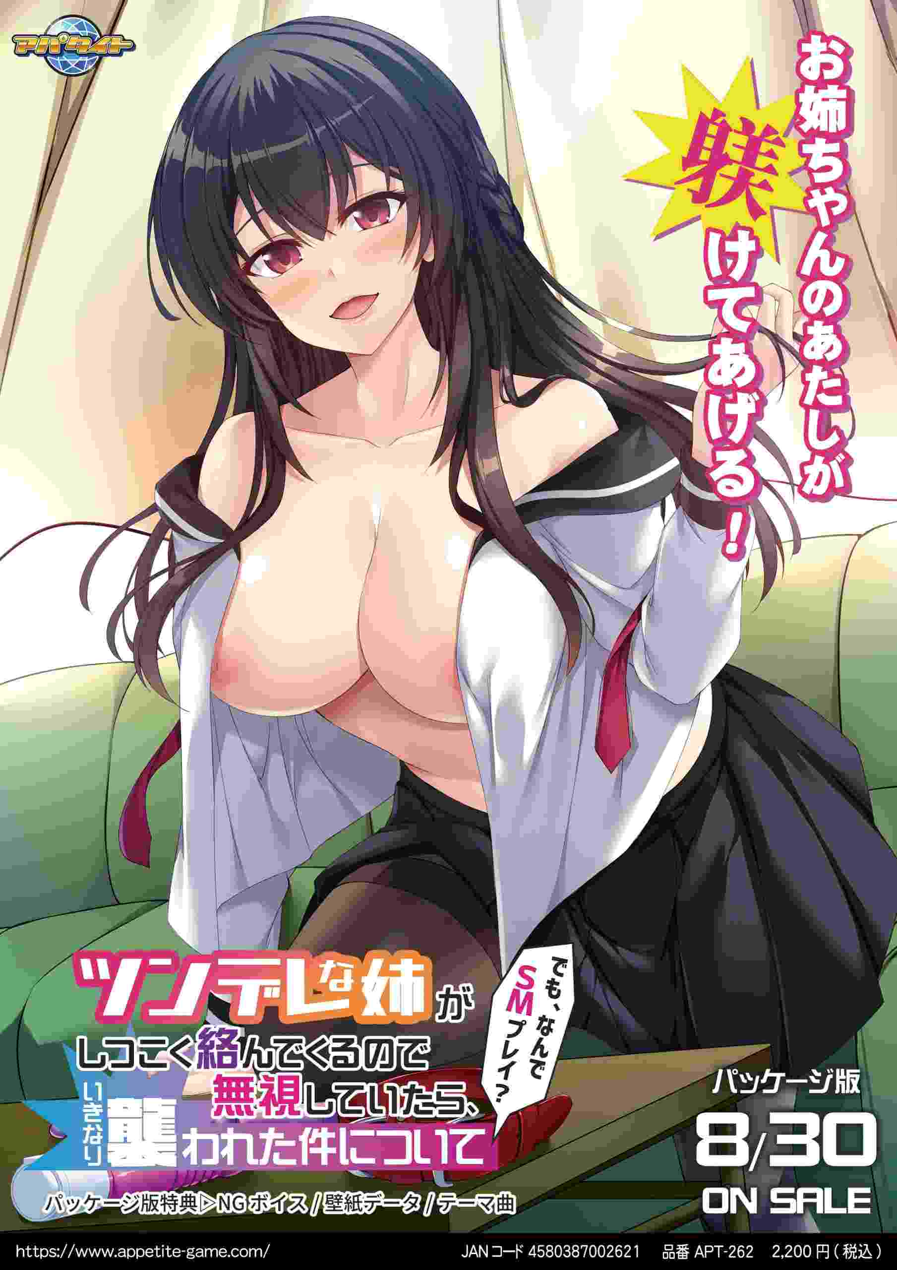 [高傲姐姐的性爱统治丧失][汉化]傲娇姐姐缠着我，无视她，结果被袭击了这件事 ～汉化版[423MB百度]-第2张图片-萌站