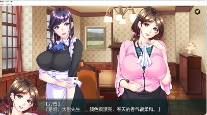 【日式/ADV/AI汉化】蠢妇～微弱的滴落声 蠢牝～仄ちやう滴り AI汉化版+存档【2.2G新作CV】【序号743】
