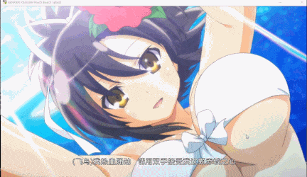 【神作/ACT/群星/官中/养成/射击/动态/全CV】闪乱神乐：沙滩戏水SENRAN KAGURA Peach Beach Splash【附：去圣光补丁和去比基尼补】【21.7G】【序号750】-第13张图片-萌站