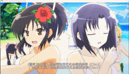 【神作/ACT/群星/官中/养成/射击/动态/全CV】闪乱神乐：沙滩戏水SENRAN KAGURA Peach Beach Splash【附：去圣光补丁和去比基尼补】【21.7G】【序号750】-第15张图片-萌站