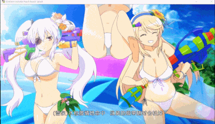 【神作/ACT/群星/官中/养成/射击/动态/全CV】闪乱神乐：沙滩戏水SENRAN KAGURA Peach Beach Splash【附：去圣光补丁和去比基尼补】【21.7G】【序号750】-第17张图片-萌站