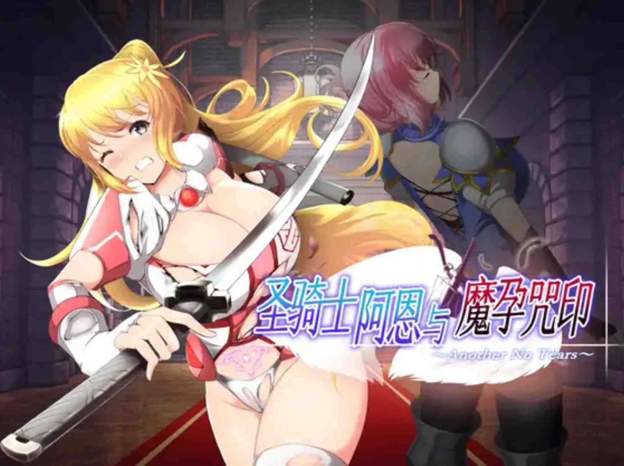 【大作日式RPG/中文】圣骑士阿恩与魔孕咒印～Another No Tears 官方中文版【4.6G/新作】-第2张图片-萌站