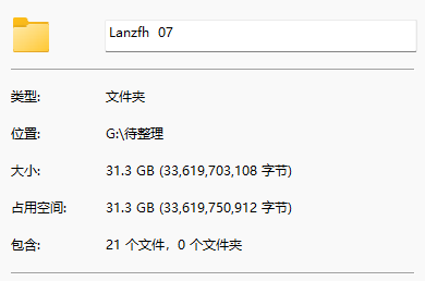 Lanzfh大佬合集07