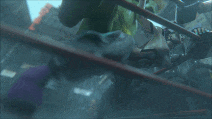 【动画/后入/爆操】[3D]Gifdoozer-05-03-Juri_X_Blanka韩蛛俐VS布兰卡