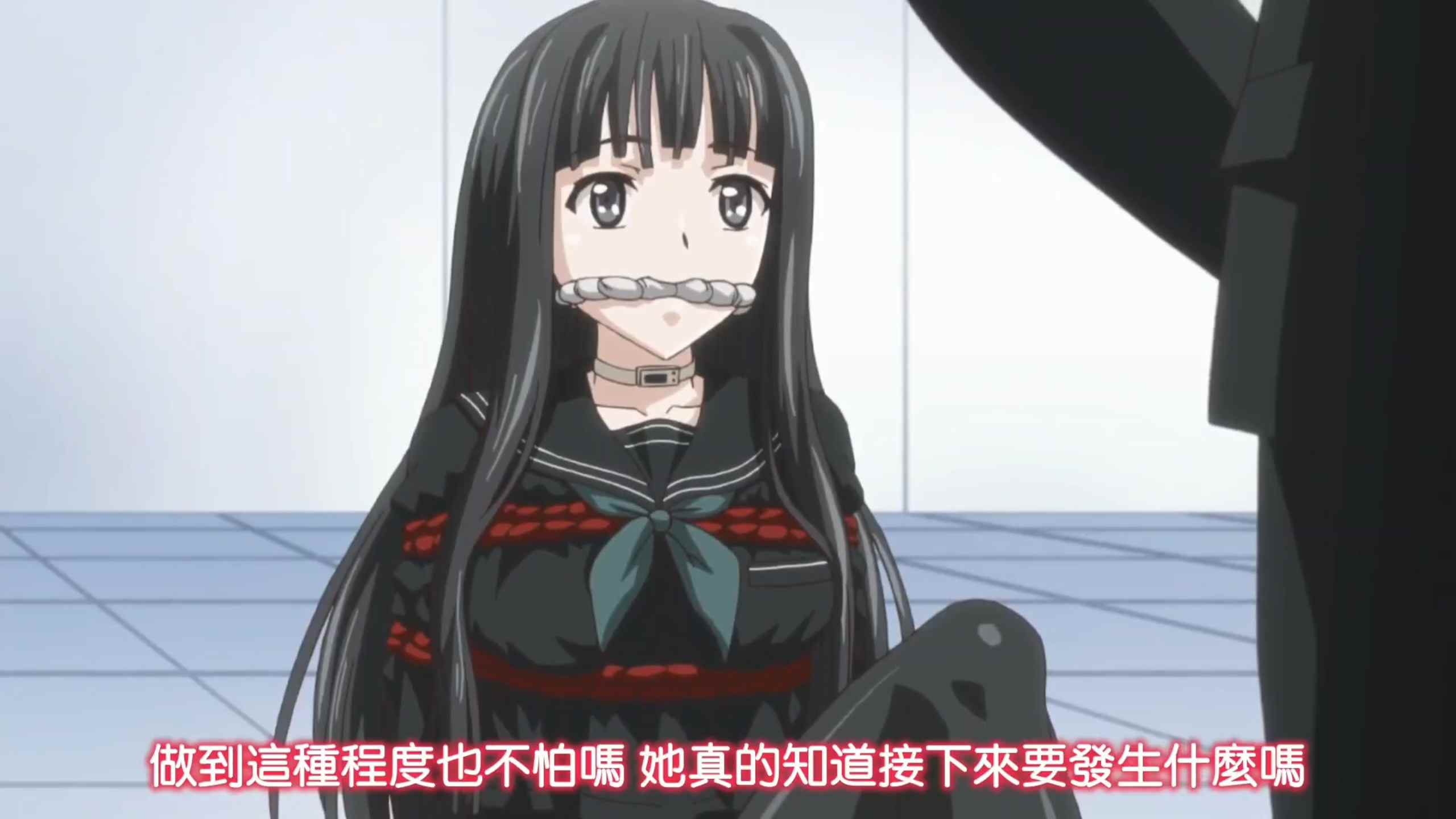 euphoria~白夜凛音[519MB][29分28秒]