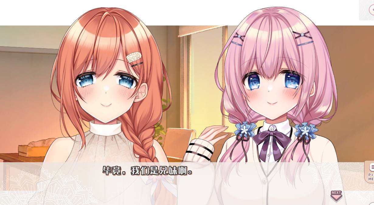 【PC/全CG/动态】姐姐妹妹想要扭曲我的性癖-第2张图片-萌站